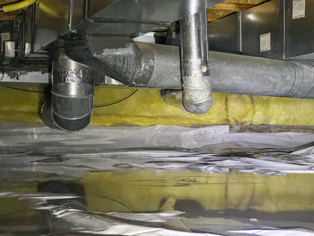 Best Basement water damage restoration  in Brookings, OR